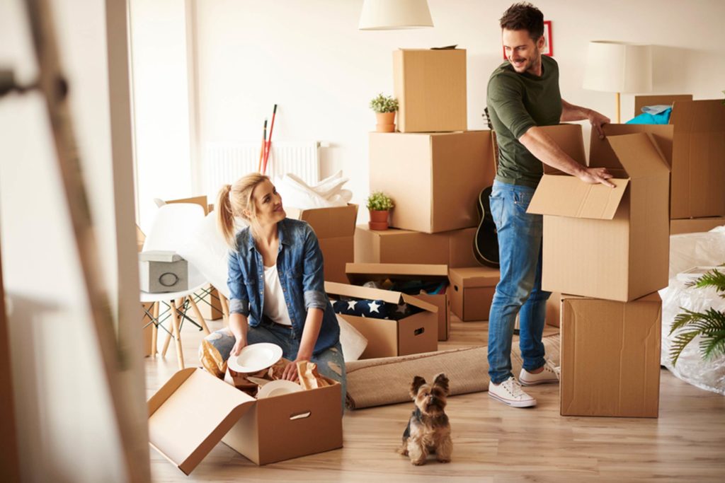 Moving Into a New Apartment